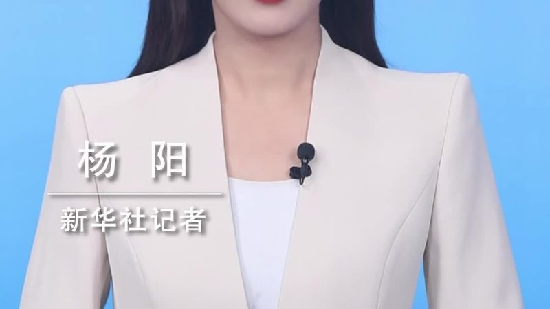 供应链管理考研案例分析题型解析**